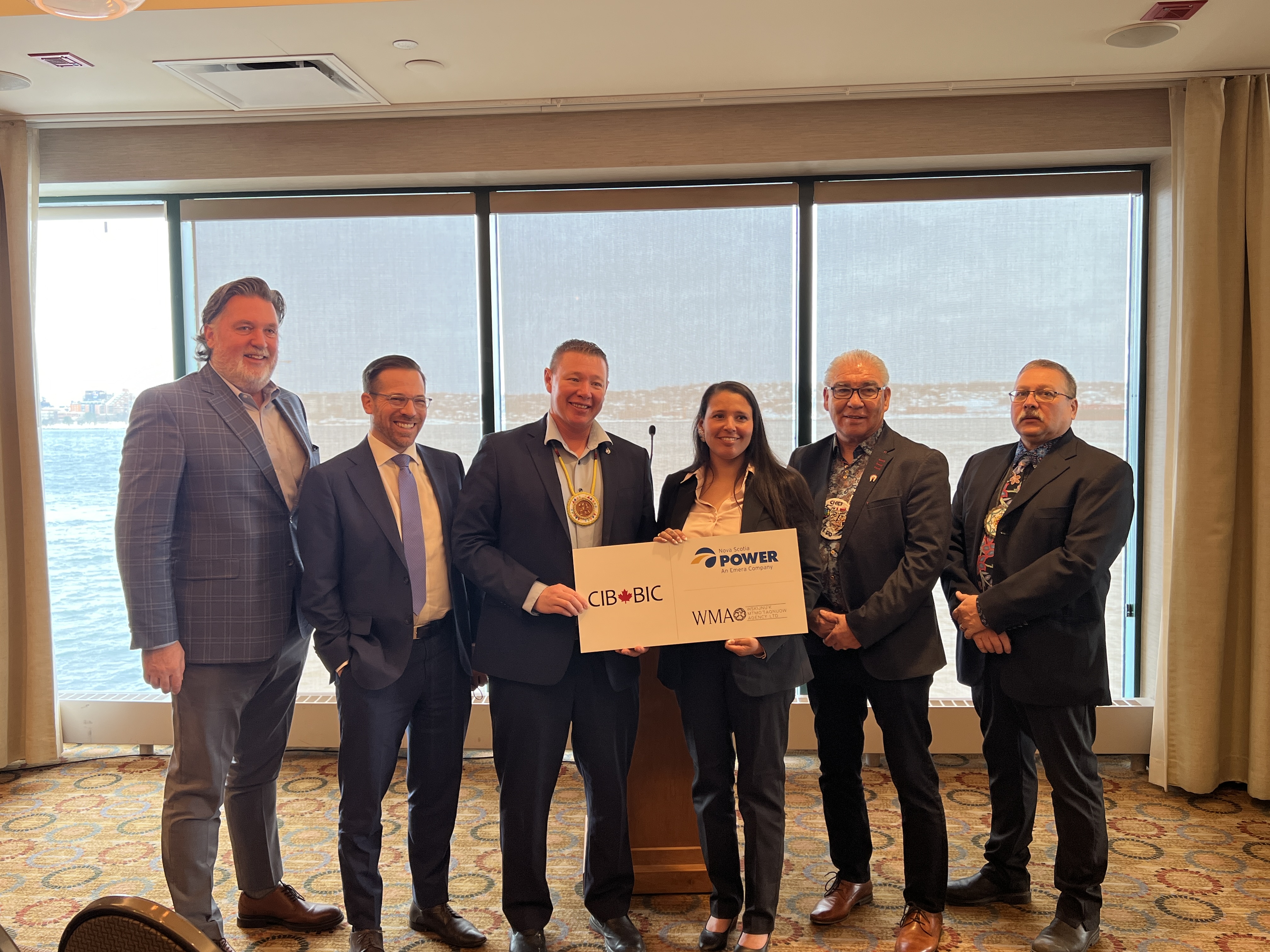 Grid-scale battery storage project