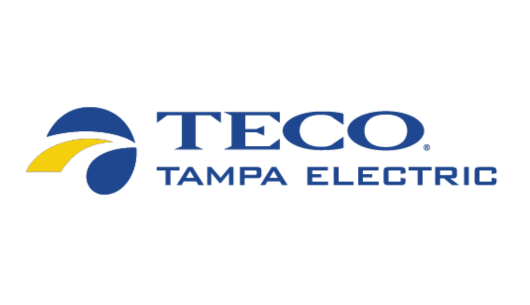 Tampa Electric 2025